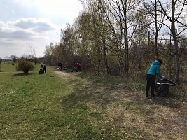 Úklid břehů řeky Bíliny