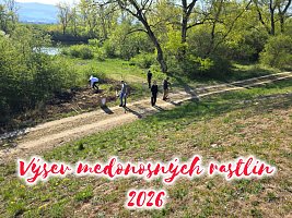 Výsev semien medonosných rastlín, Piešťany 2026