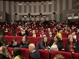 Filmové ozveny CINEDU