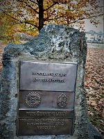 Strom přátelství a porozumění