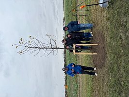 Rotary Club Klatovy vysadil lípu ve Vestci u Prahy