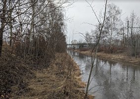 Environmentální projekt