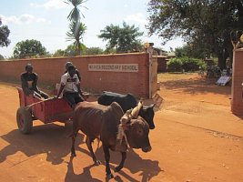 Podpořeno 21 studentů v Malawi