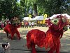 Lion dancers at the Dragon Boat festival