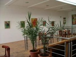 Dominikánské centrum mládeže a dialogu