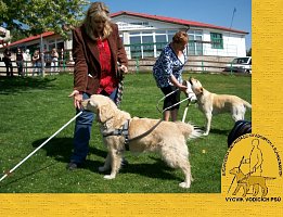 Pomoc výcviku slepeckých psů